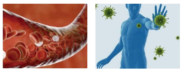 &ldquo;生命光波&rdquo;的秘密 | 远红外健康理疗为何成为健康新宠？